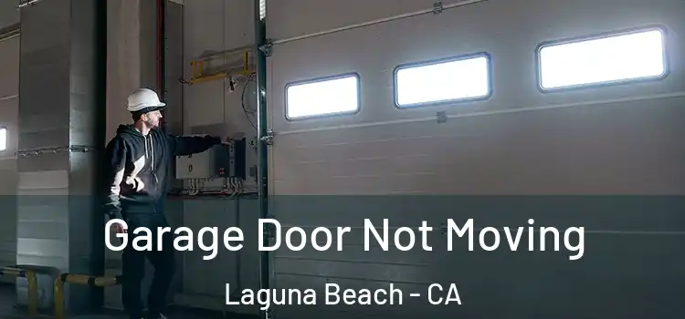  Garage Door Not Moving Laguna Beach - CA