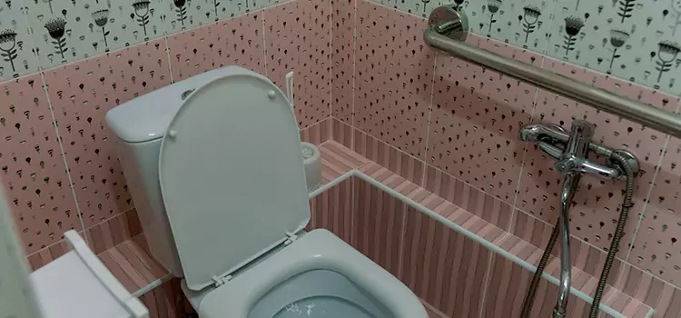 Meeting Diverse Needs With Accessible Restroom Solutions in Laguna Beach, CA