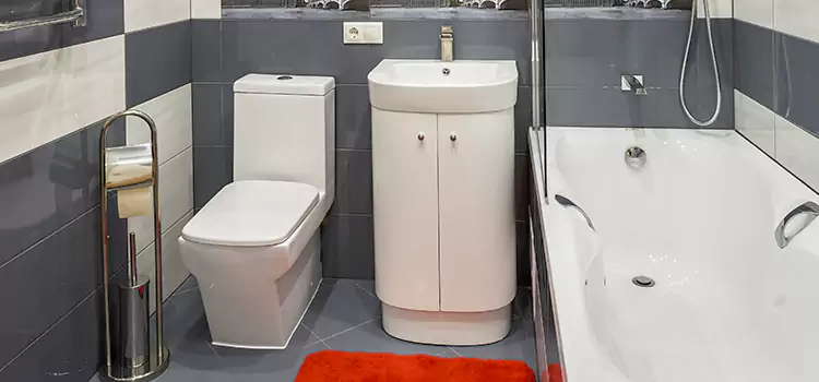 Hansgrohe Shaving Mirror Laguna Beach